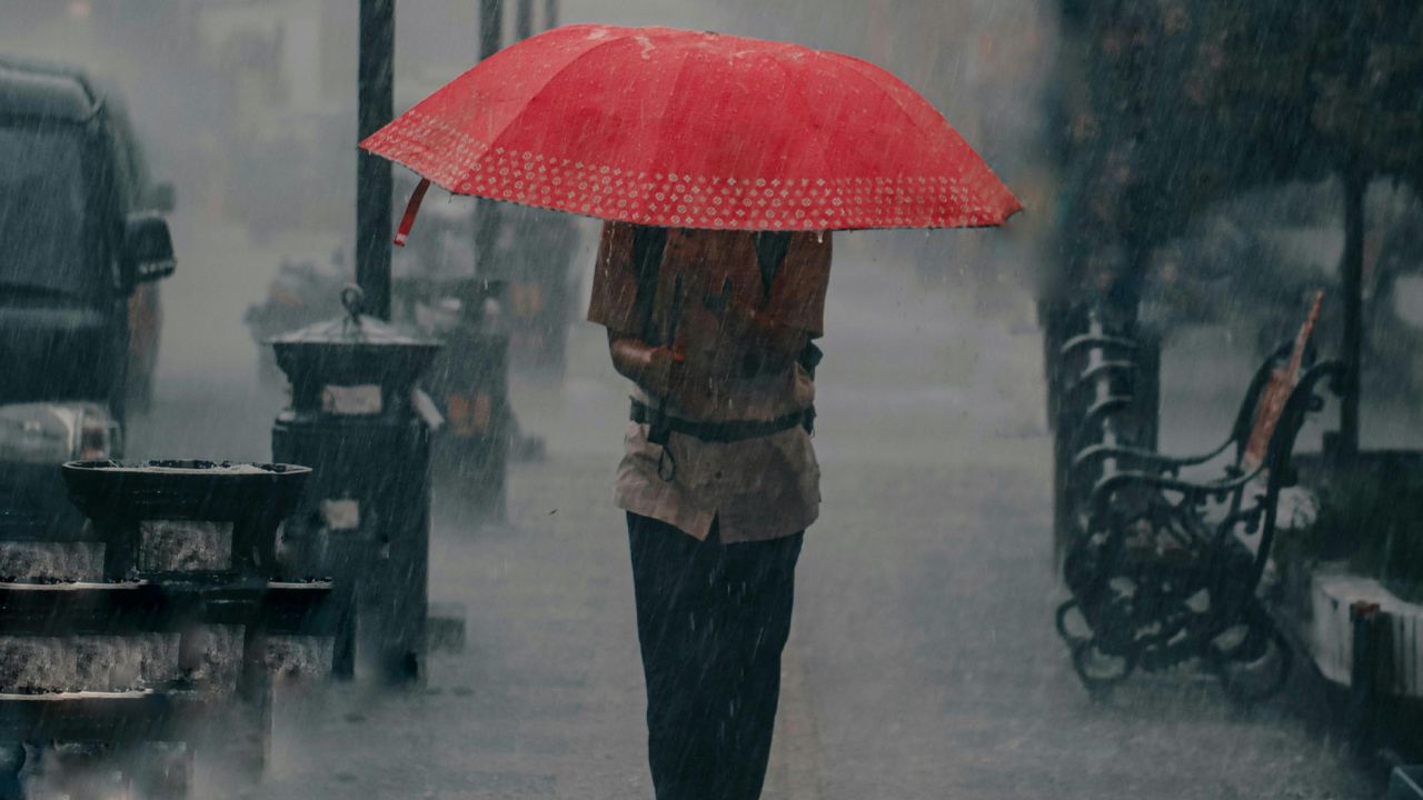 Image of Rain weather