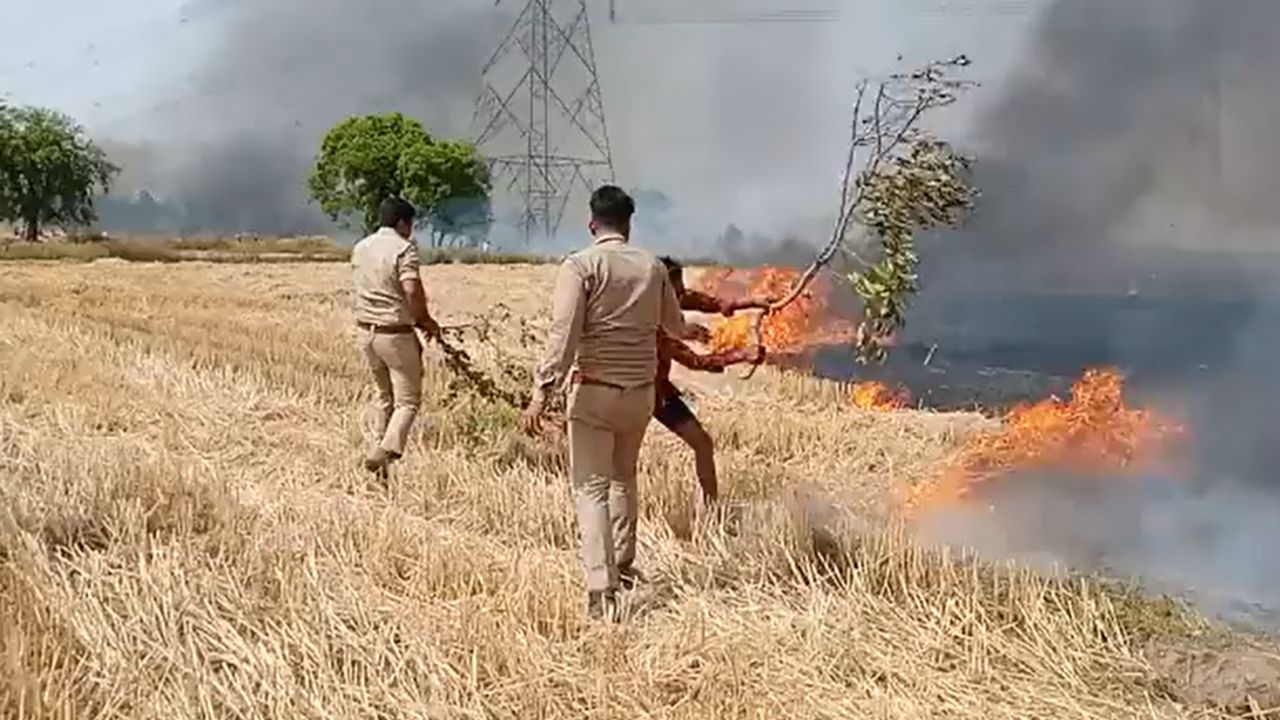 wheat crop fire