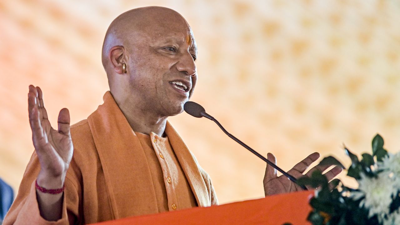 Yogi