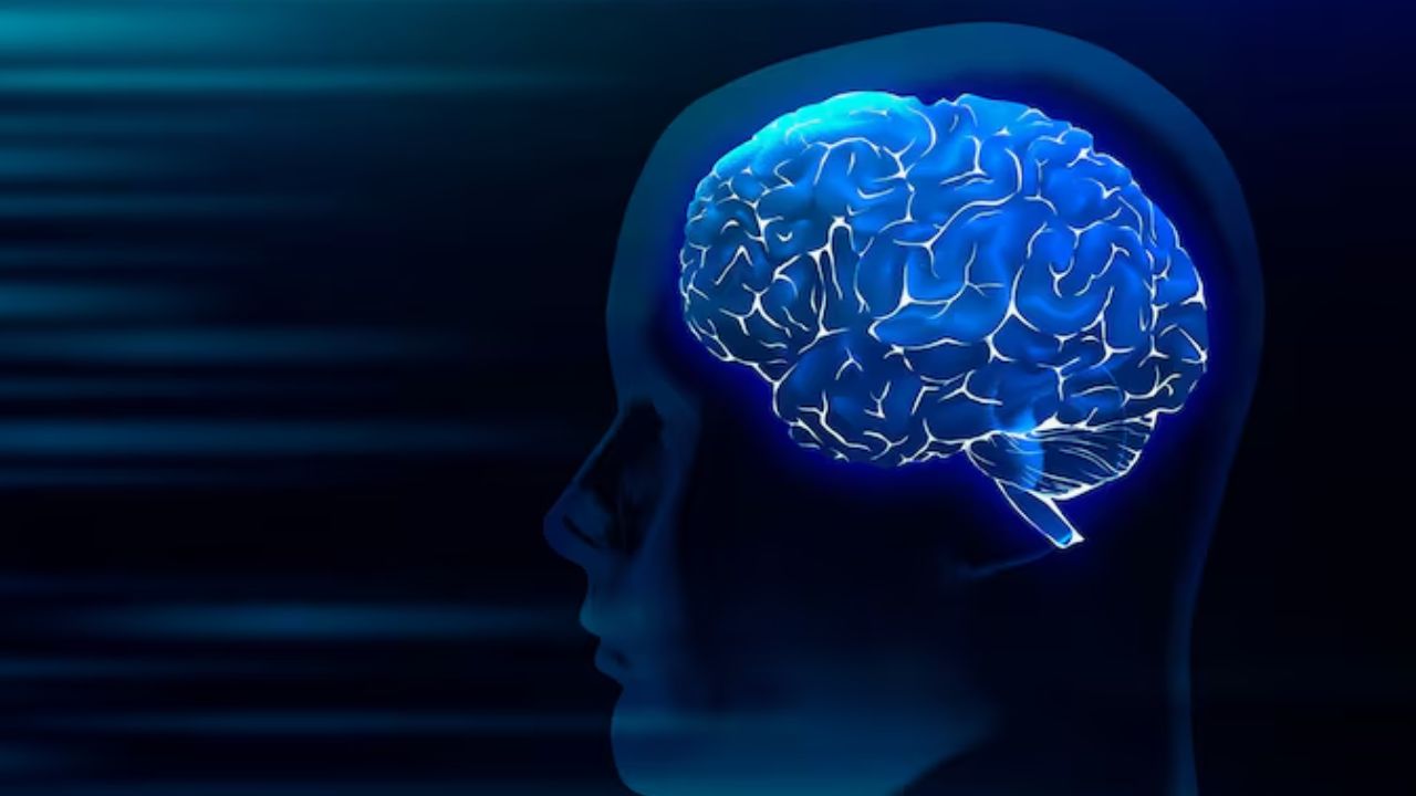 habits that secretly effect brain