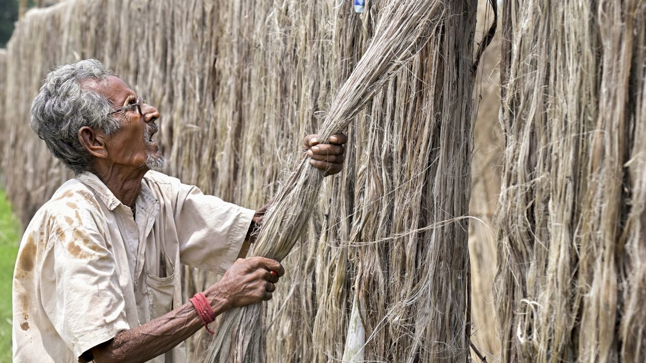 Jute PTI