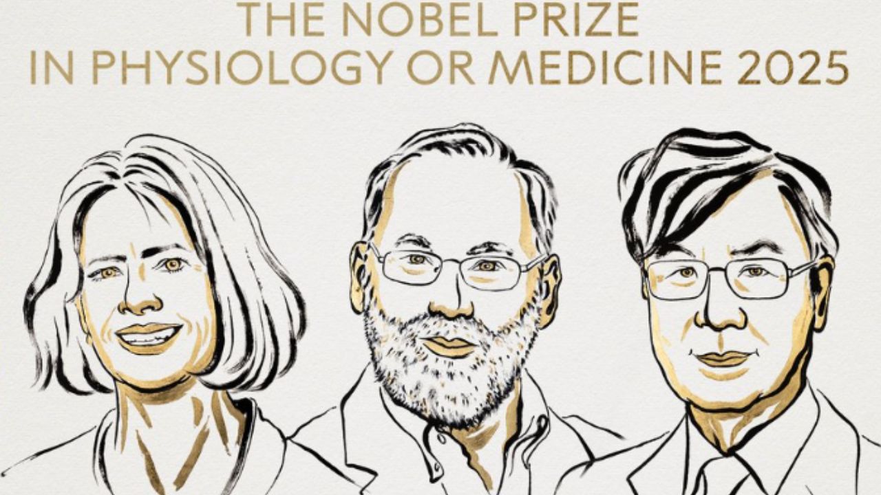 Mary E Brunkow, Fred Ramsdell, Shimon Sakaguchi । Photo Credit: X/@NobelPrize