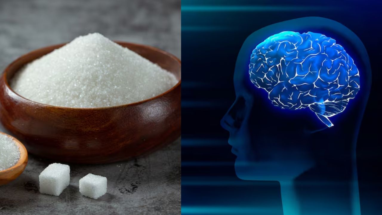 sugar effect concentration