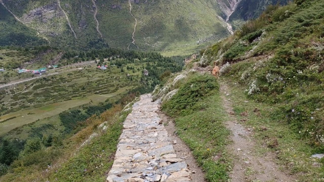 Arunachal Pradesh  District Dibang Valley Block Aneli Arzoo Village Adane